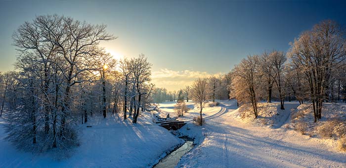 Winter
