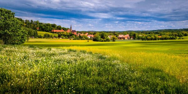 Wildblumenwiesen auf den Neißeauen vor Leuba
