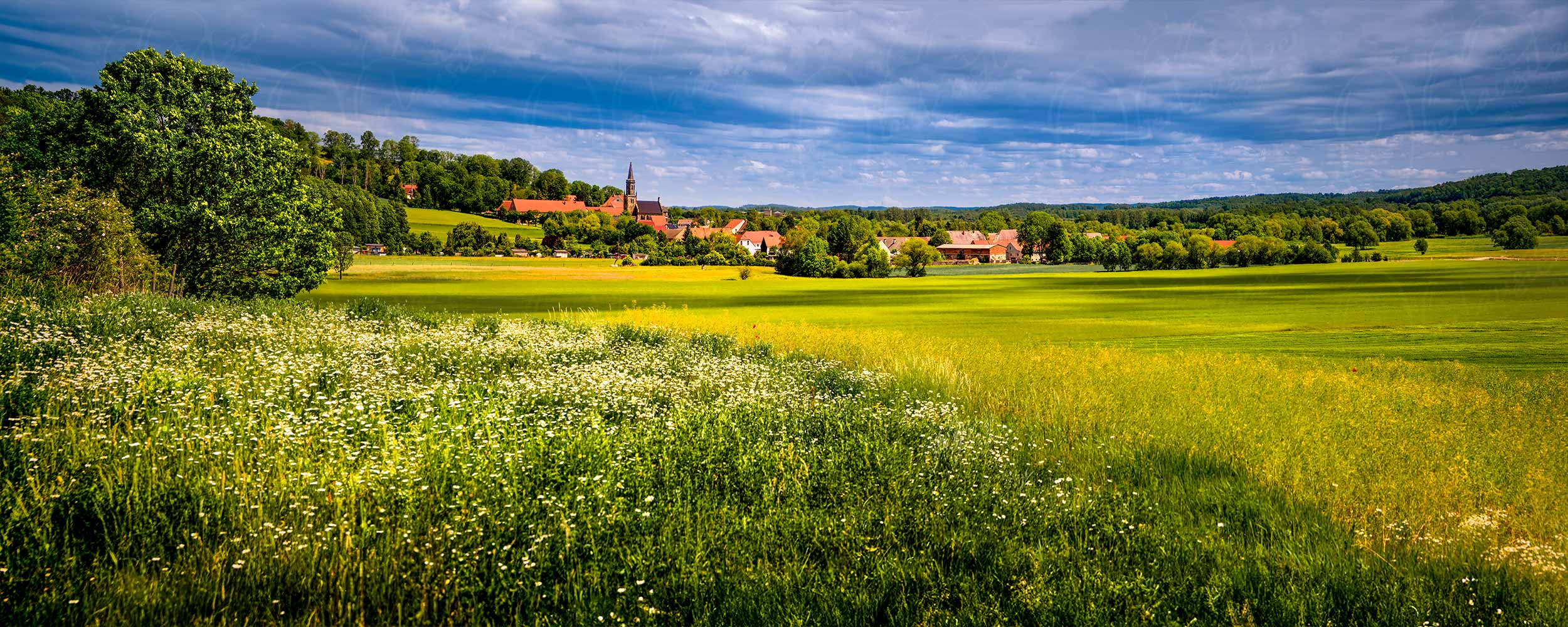 Wildblumenwiesen auf den Neißeauen vor Leuba