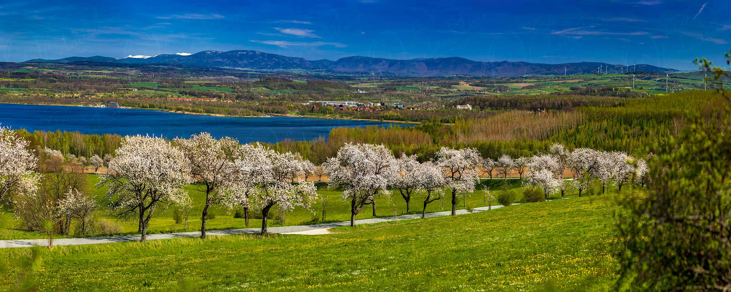 Der Berzdorfer See umrahmt von Kirschallee und Riesengebirge