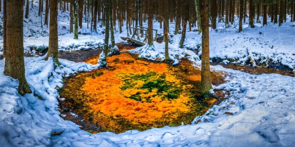 Krompach - Farbenprächtige Mineralölquelle im Winterwald