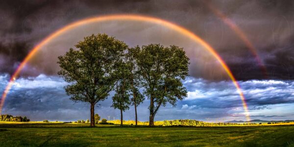 friedlich spannt sich der Regenbogen über einer Baumgruppe