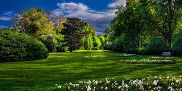 Bad  Muskau – Die liegende Kastanie an der Hermannsneiße