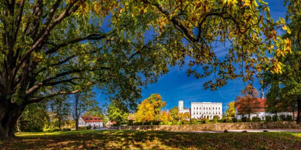 Krobnitz – Majestätische Parkbäume umrahmen das malerische Schloss